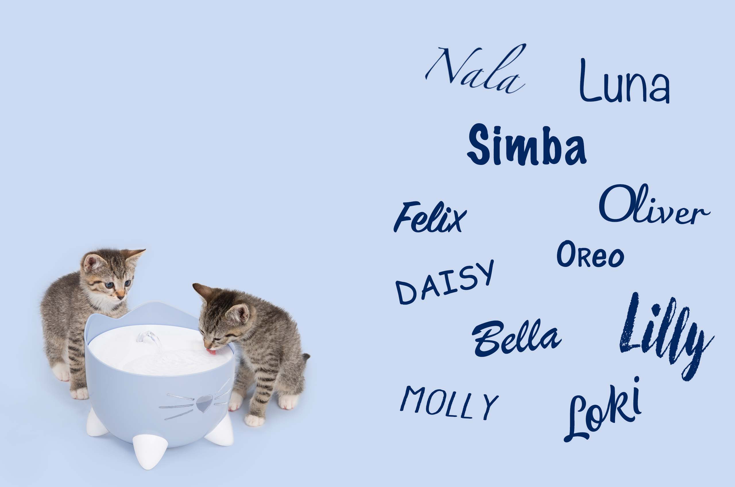 Two kittens drinking from a cat-shaped water fountain next to a list of popular cat names