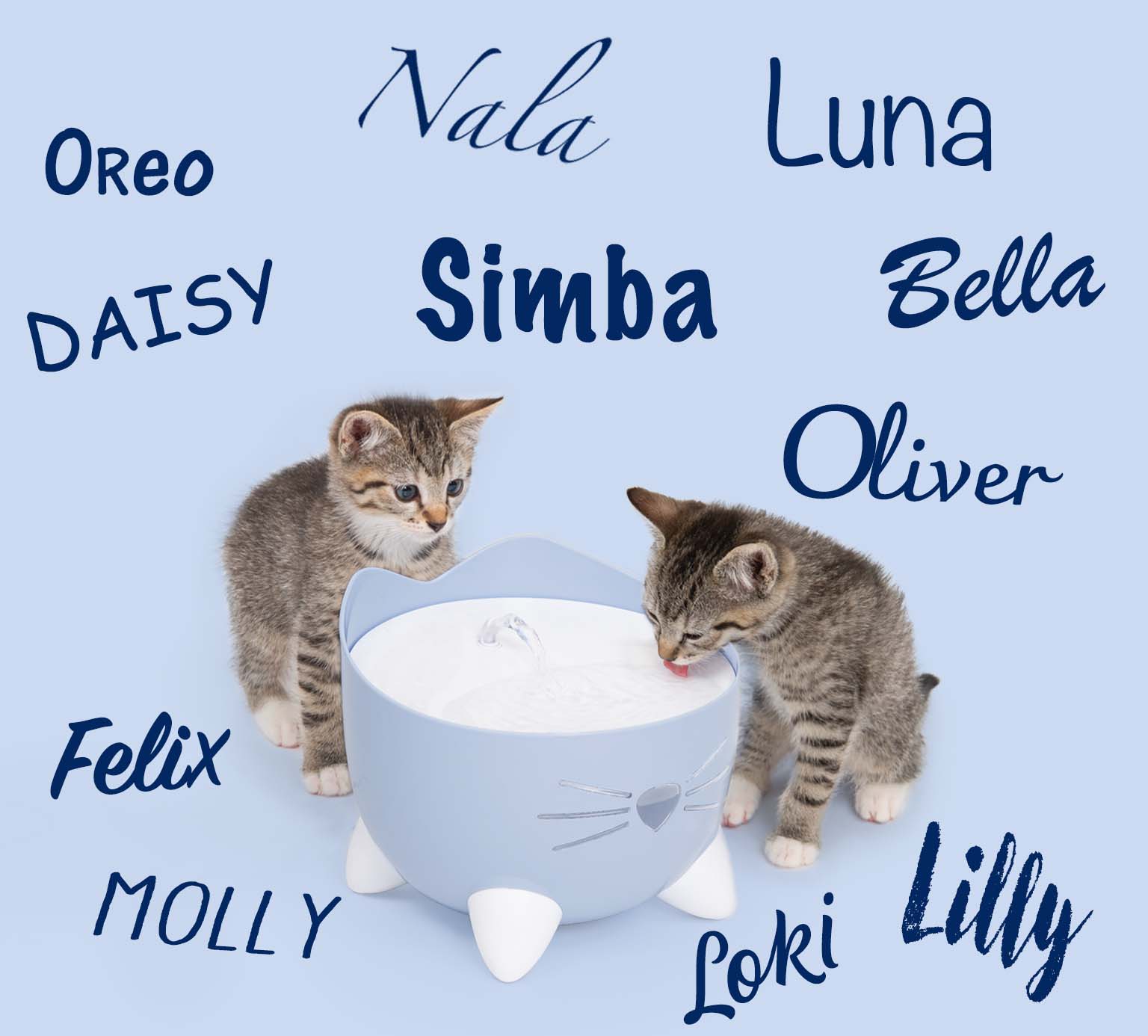 Two kittens drinking from a Catit cat-shaped water fountain surrounded by popular cat names
