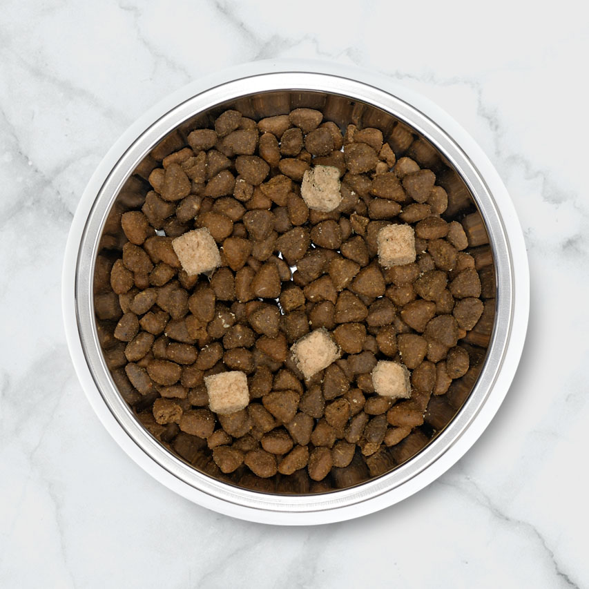 A metal bowl filled with brown kibble mixed with several light-colored freeze-dried raw food cubes