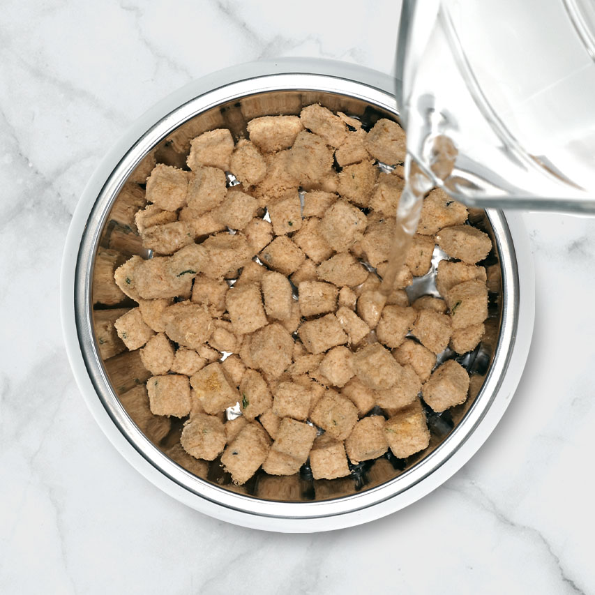 Water being poured from a glass pitcher into a stainless steel bowl filled with freeze-dried cat food cubes