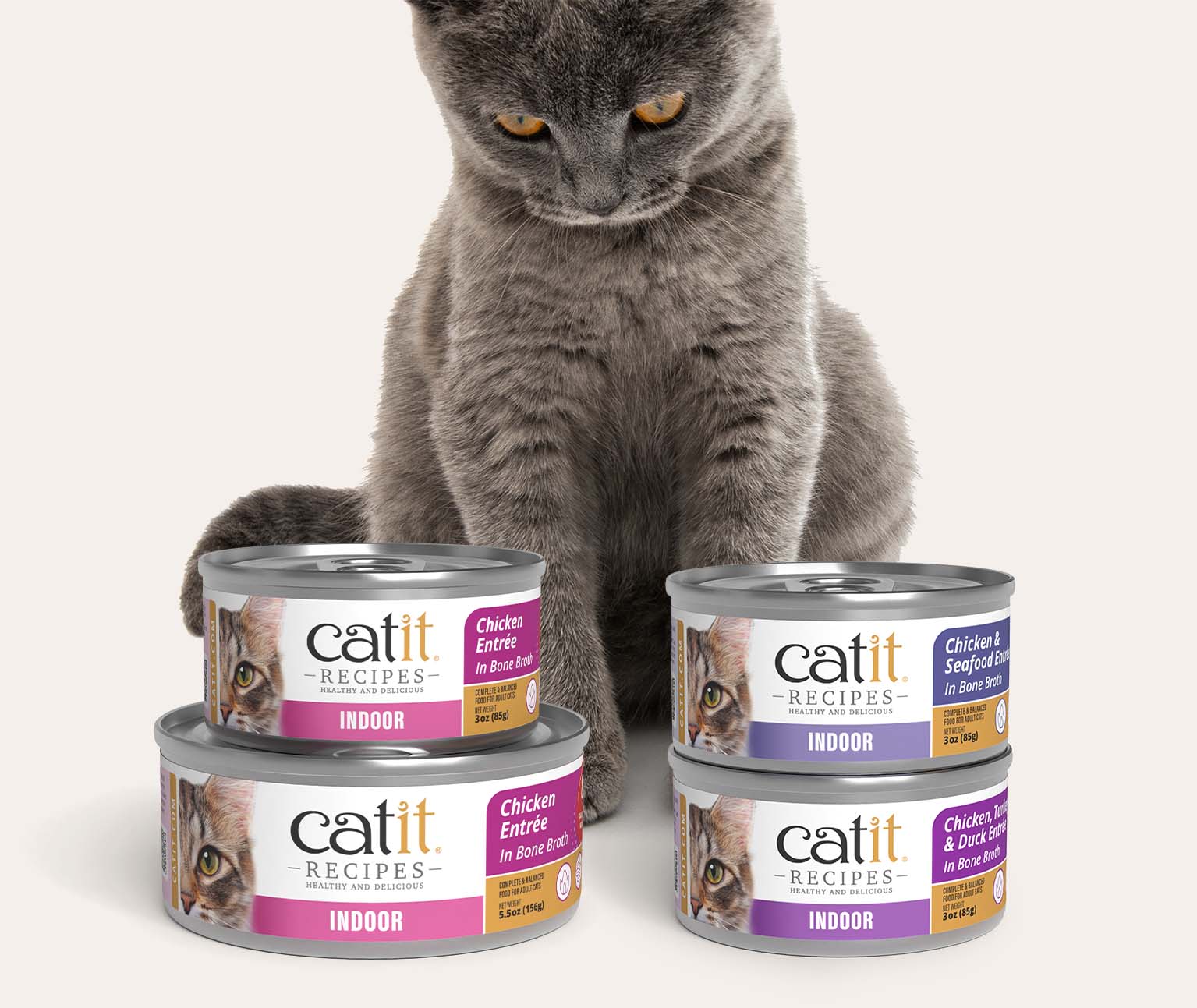 A grey cat sitting behind a stack of four Catit Recipes Indoor wet cat food cans in various flavors