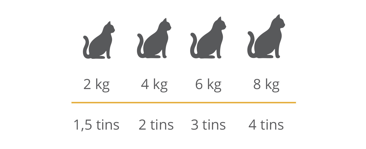 Feeding guide showing daily portions: 2kg cat needs 1.5 tins, 4kg needs 2 tins, 6kg needs 3 tins, and 8kg needs 4 tins