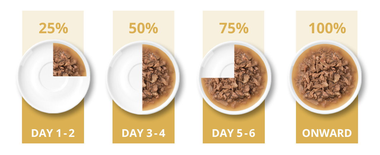 Transition guide for introducing new cat food: gradually increase the portion of new food over 7 days, reaching 100% thereafter