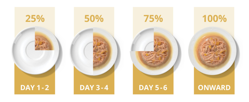 Infographic showing a 6-day transition guide for introducing new cat food, increasing the portion from 25% to 100% over time