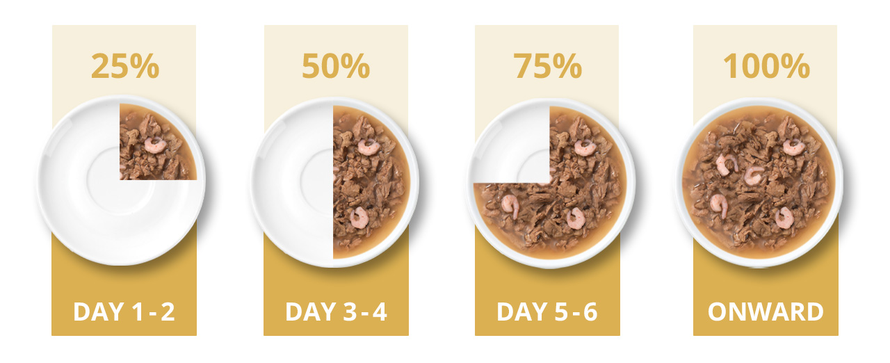 A transition guide for Catit Cuisine Duet, showing a gradual increase in food portion size over six days to 100% onward