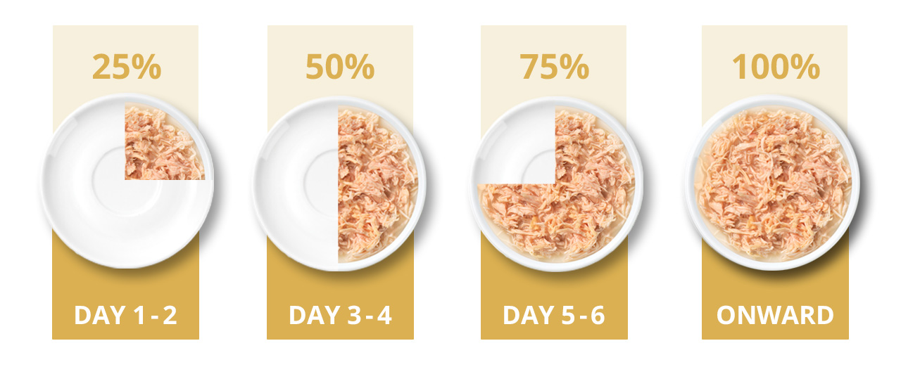 Transition guide for introducing new cat food: gradually increase the portion of new food over 6 days until feeding 100%