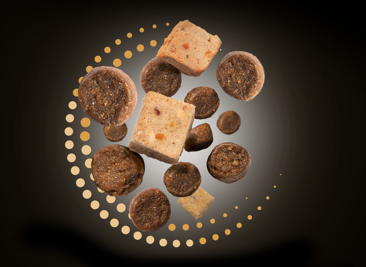 Floating pieces of dry cat food and freeze-dried meat cubes against a dark background with a dotted circular pattern