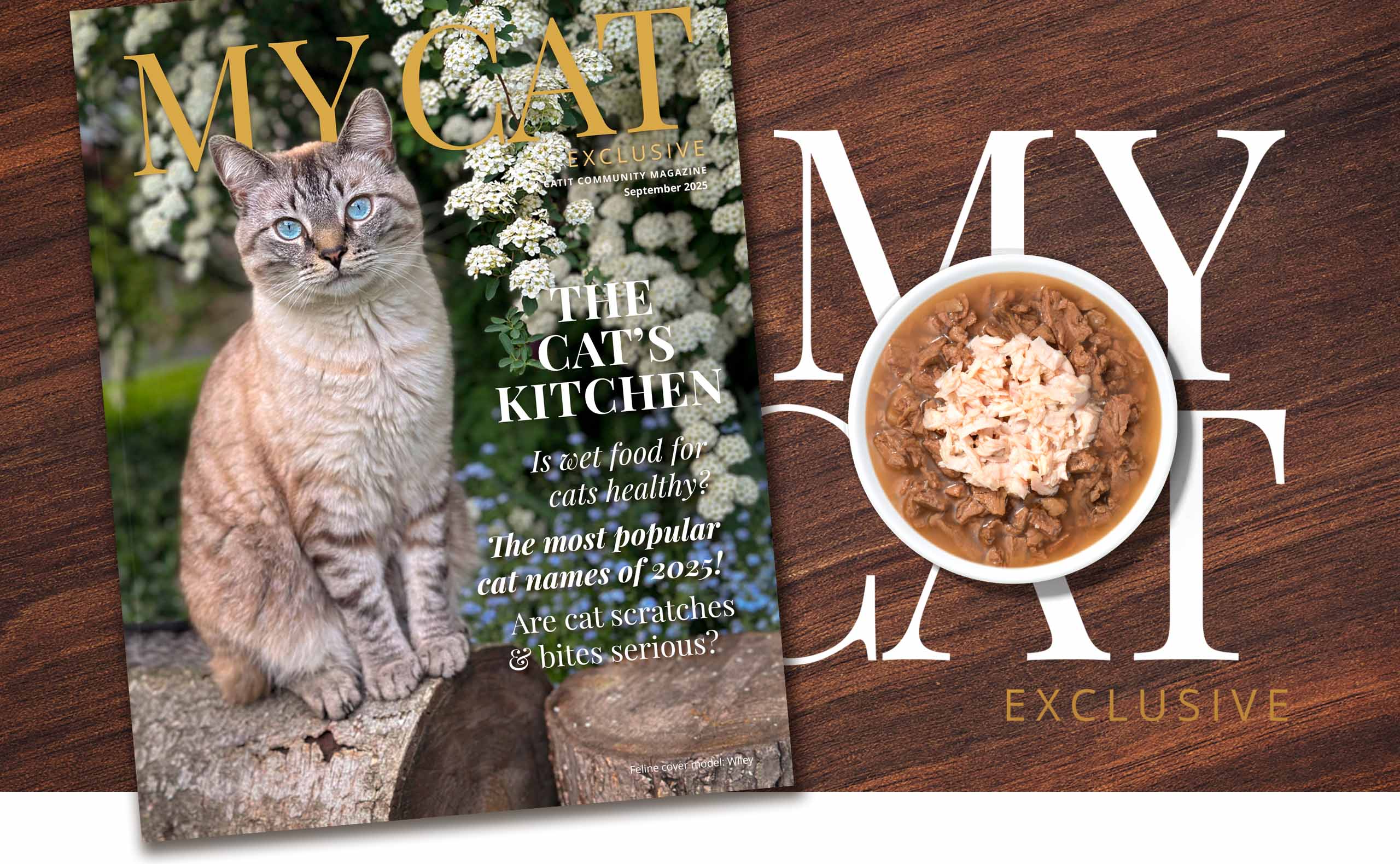 September 2025 issue of My Cat magazine featuring a cat on the cover and articles on wet food, cat names, and bites