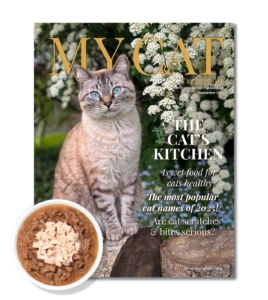 September 2025 issue of My Cat magazine featuring a cat on the cover and articles on wet food, cat names, and injuries