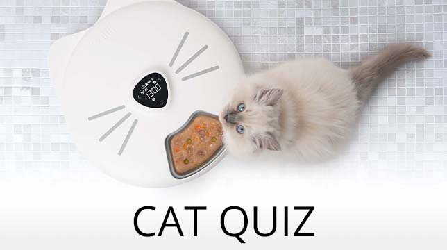 A fluffy cat eating from a PIXI smart feeder with the text Cat Quiz below it
