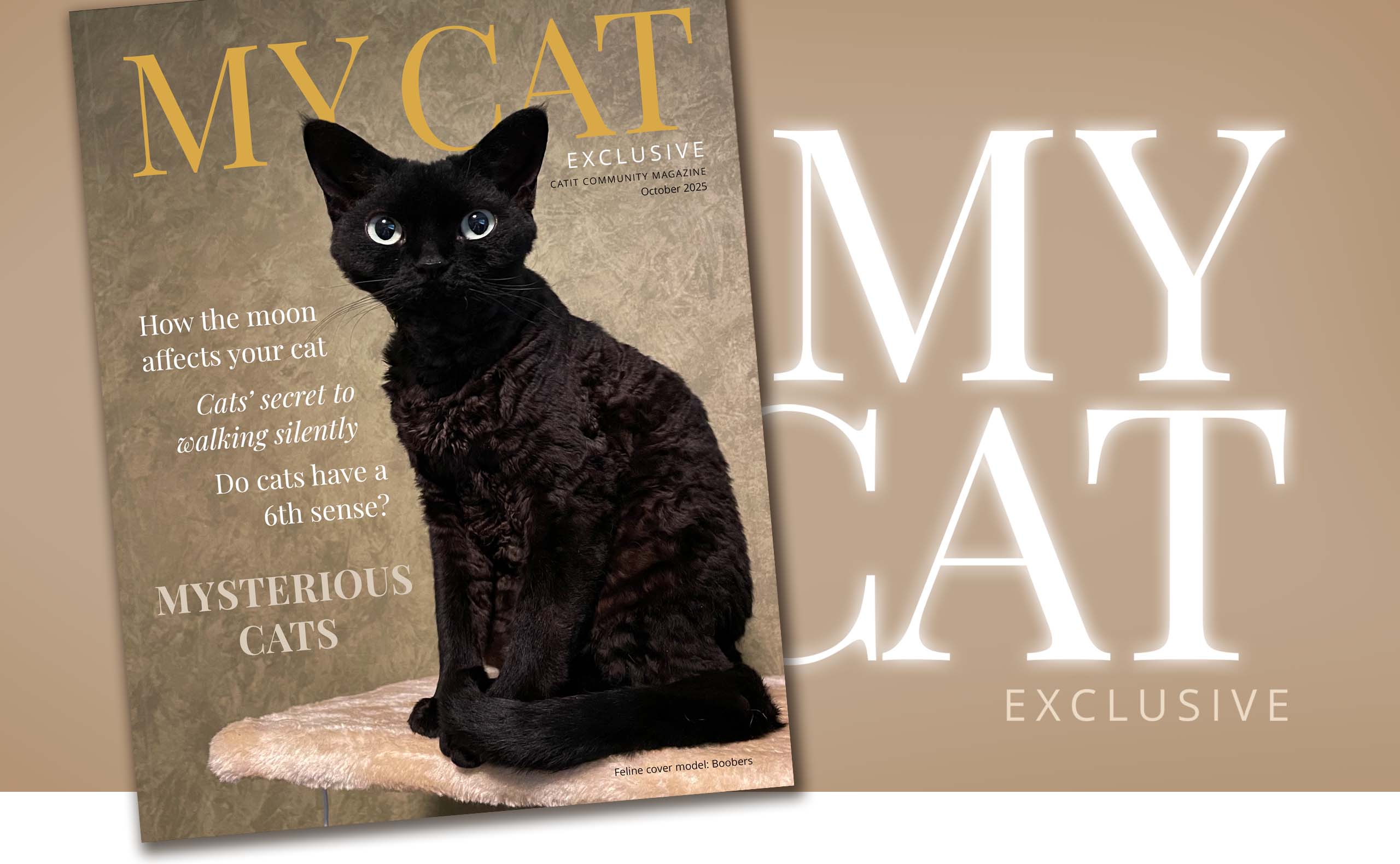 Promotional banner for My Cat magazine featuring a black cat on the cover with articles about feline behavior