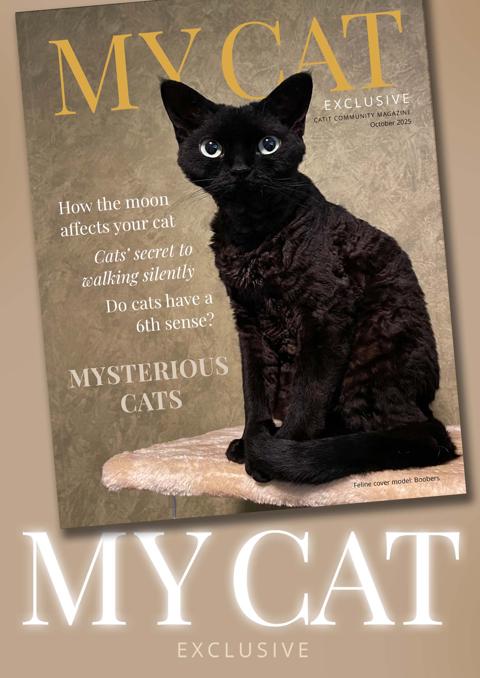 Magazine cover titled My Cat featuring a black cat named Boobers and articles about feline behavior and mystery