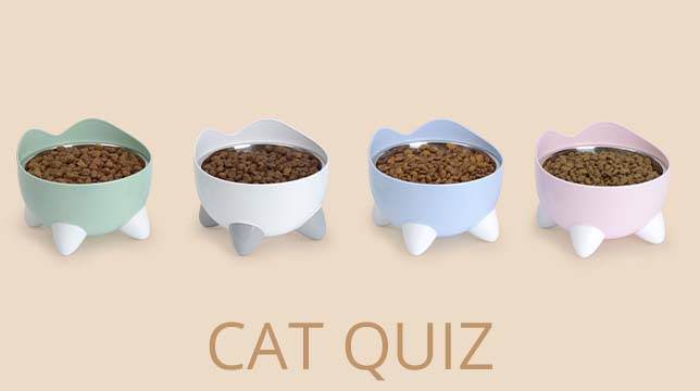 Four cat-shaped bowls filled with dry cat food, with the text CAT QUIZ below them