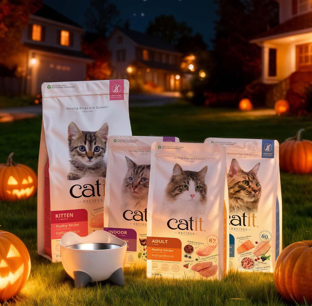 Catit cat food packaging and a bowl displayed on grass with pumpkins at night