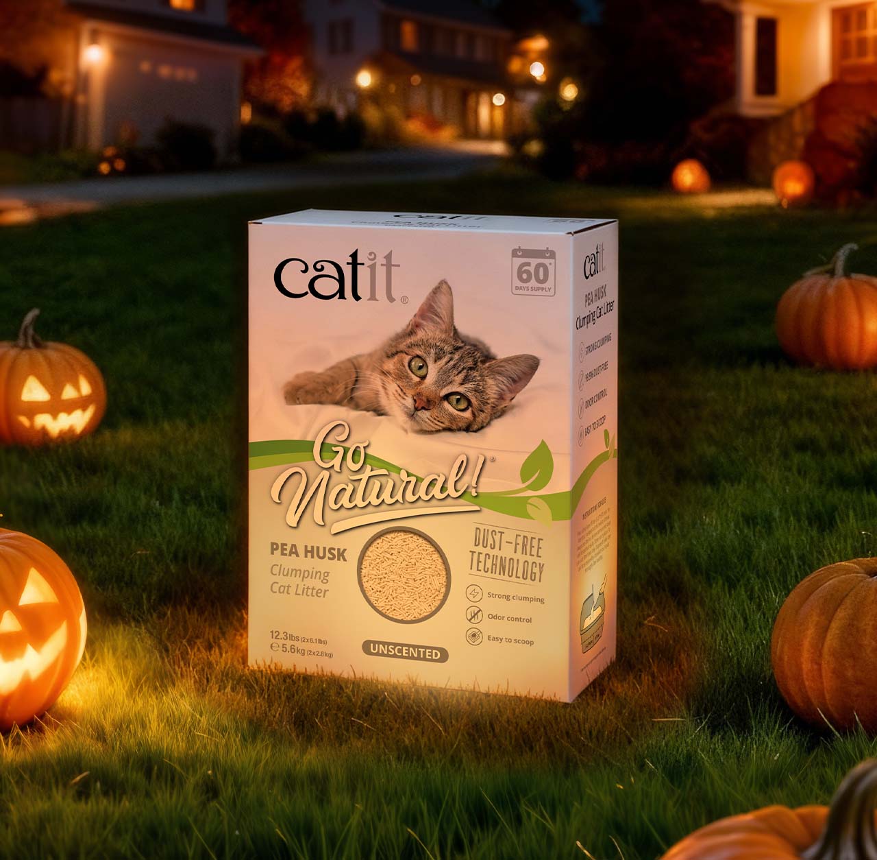 Catit Go Natural pea husk clumping cat litter packaging displayed on a lawn with pumpkins at night