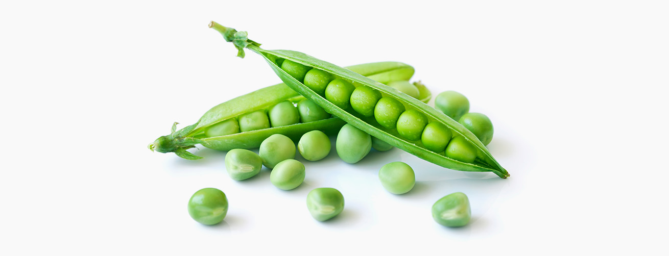 Fresh green peas in their pods and scattered loose on a white background