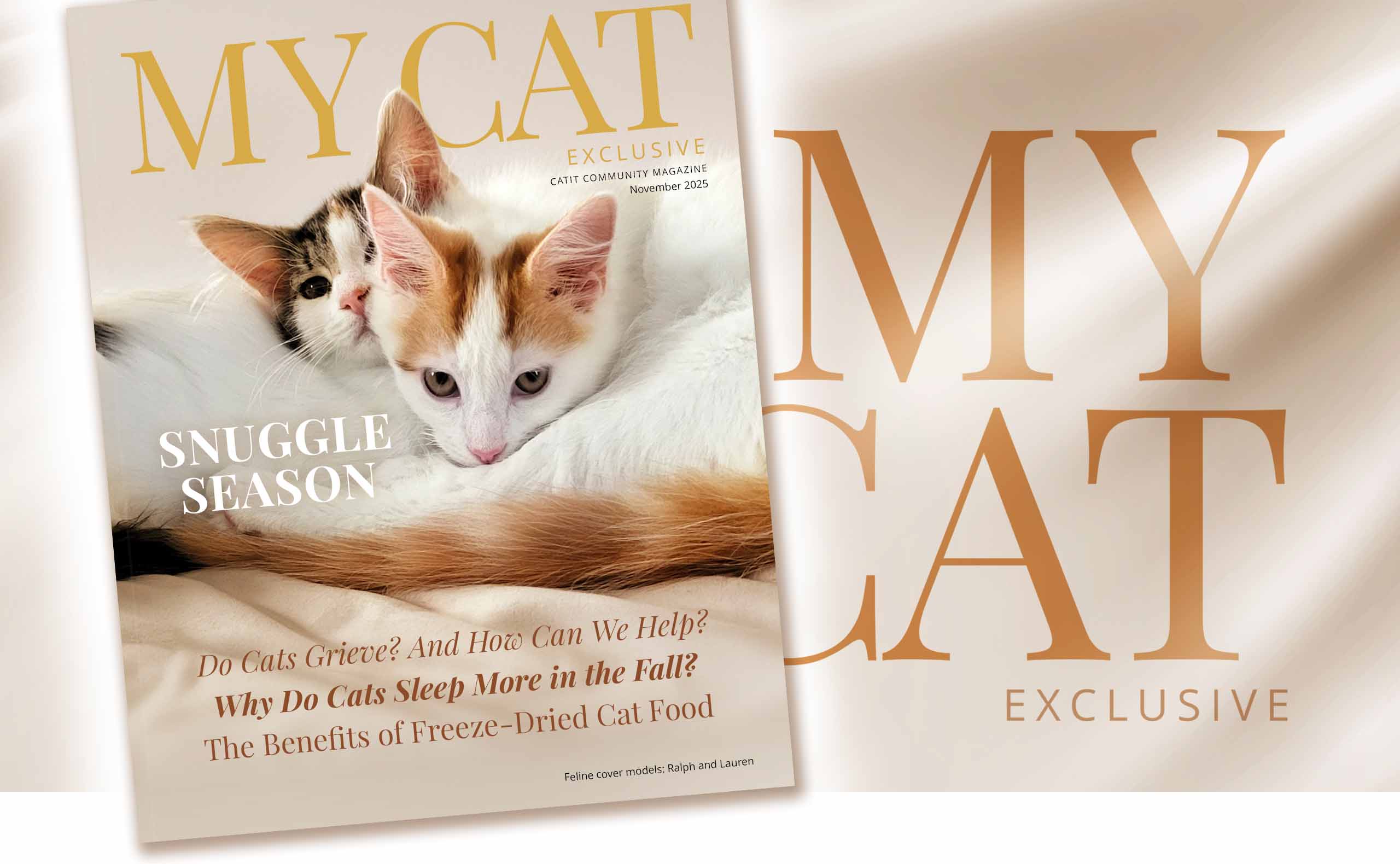 Catit community magazine cover featuring two kittens and articles on cat grief, seasonal sleep patterns, and cat food