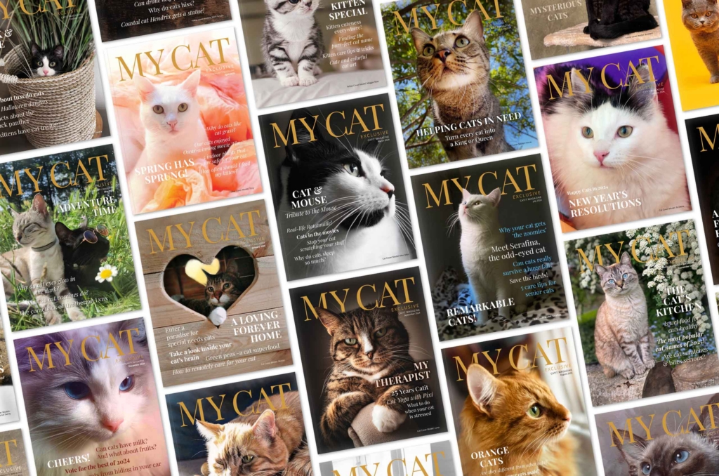 A collage of various My Cat magazine covers featuring diverse cat breeds and themes, showcasing cat care topics and tips