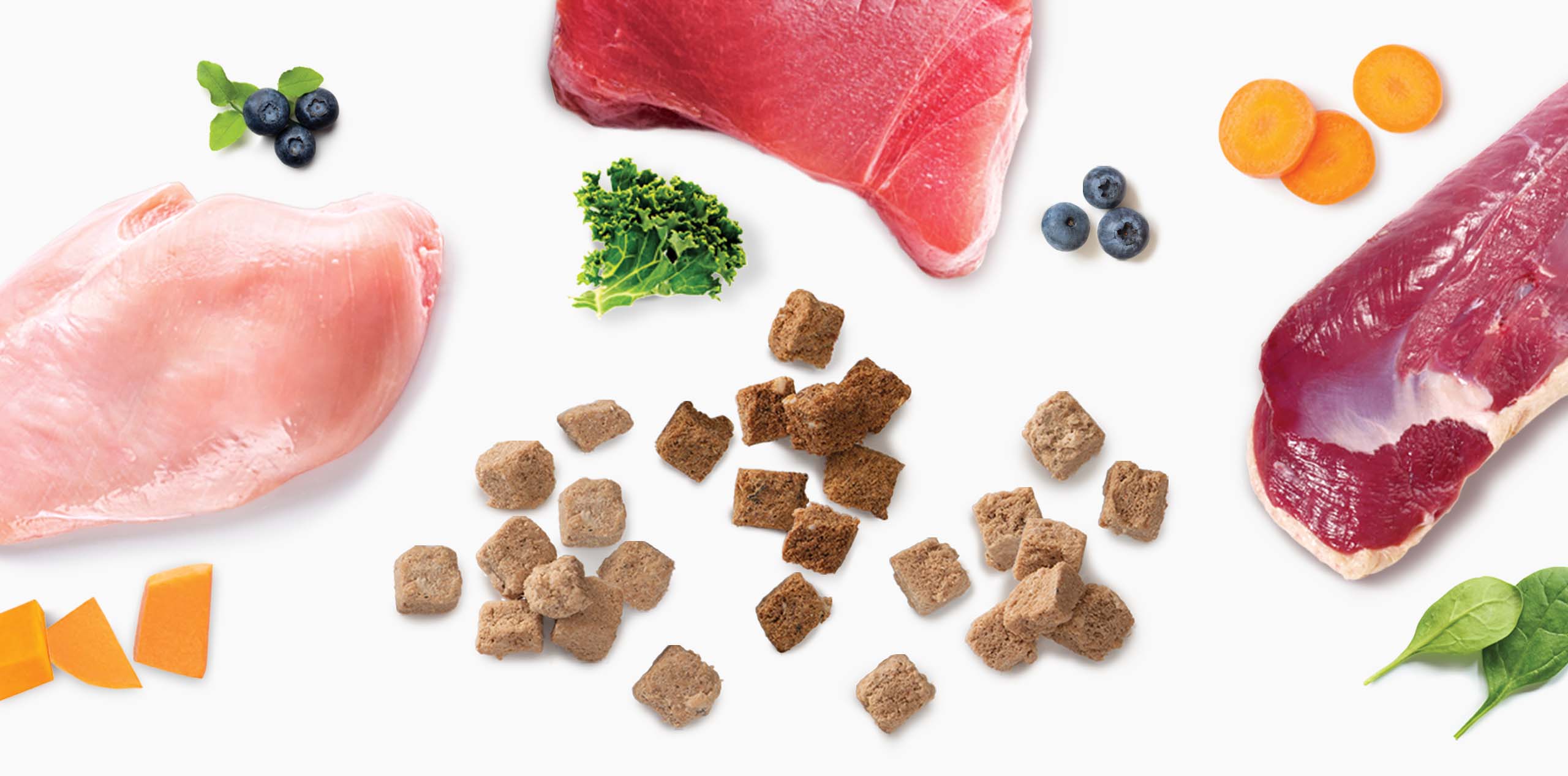 Freeze-dried cat food pieces surrounded by raw chicken, tuna, duck, blueberries, carrots, and leafy greens