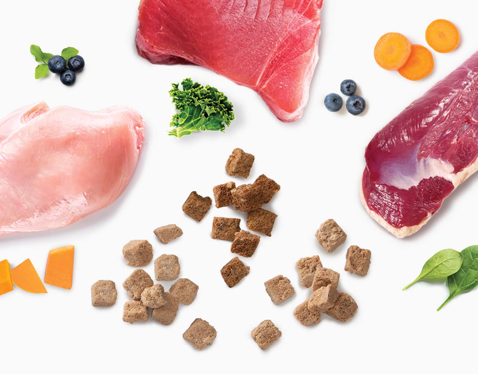 Freeze-dried cat food ingredients including raw meat, fish, blueberries, carrots, and greens scattered on a white background