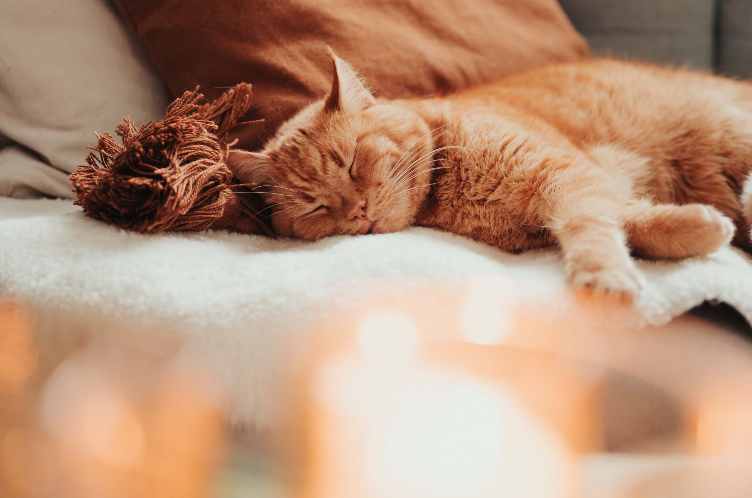 An orange tabby cat sleeping peacefully on a white blanket next to a brown pillow