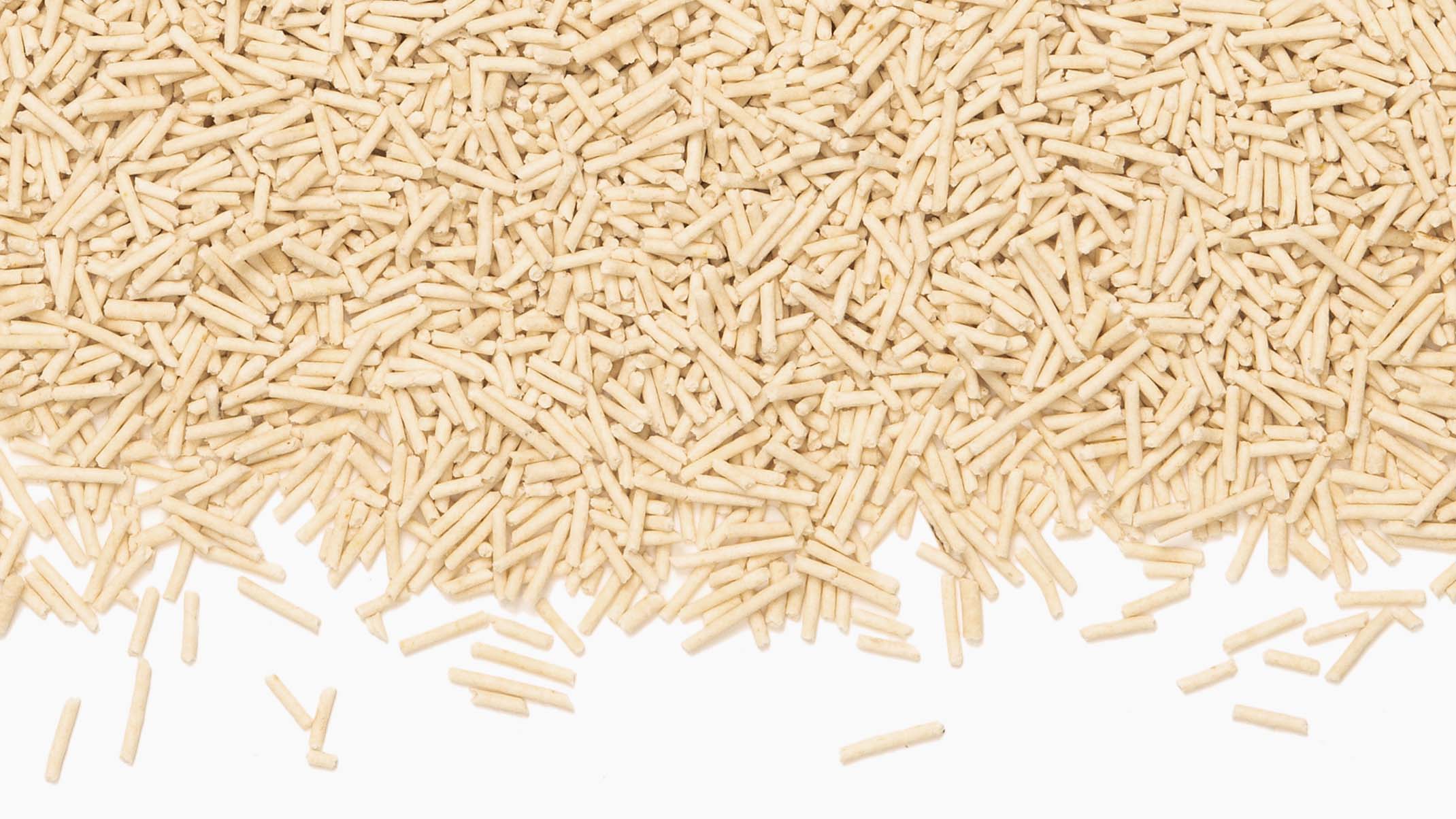 A pile of light-colored, cylindrical wood pellet cat litter against a white background