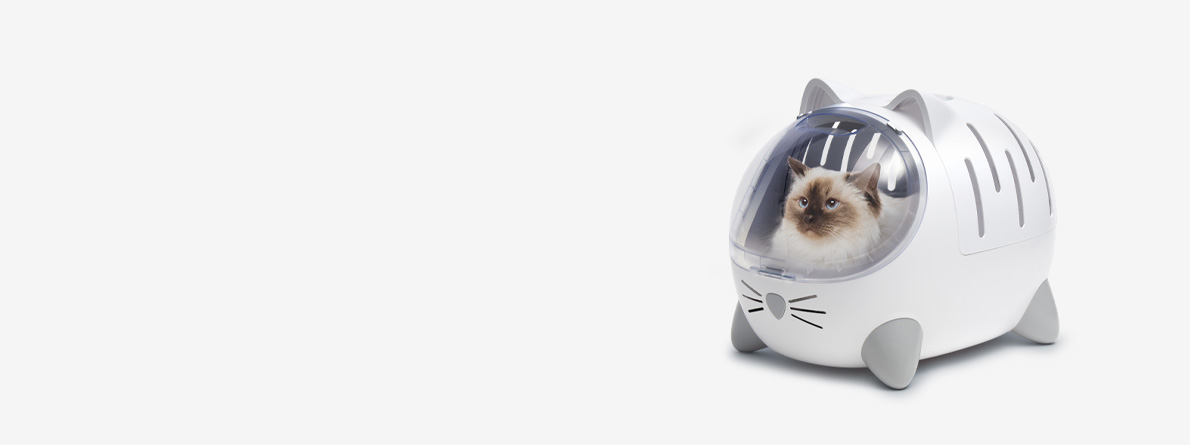 A Ragdoll cat sitting inside a white, cat-shaped PIXI carrier with a clear bubble window