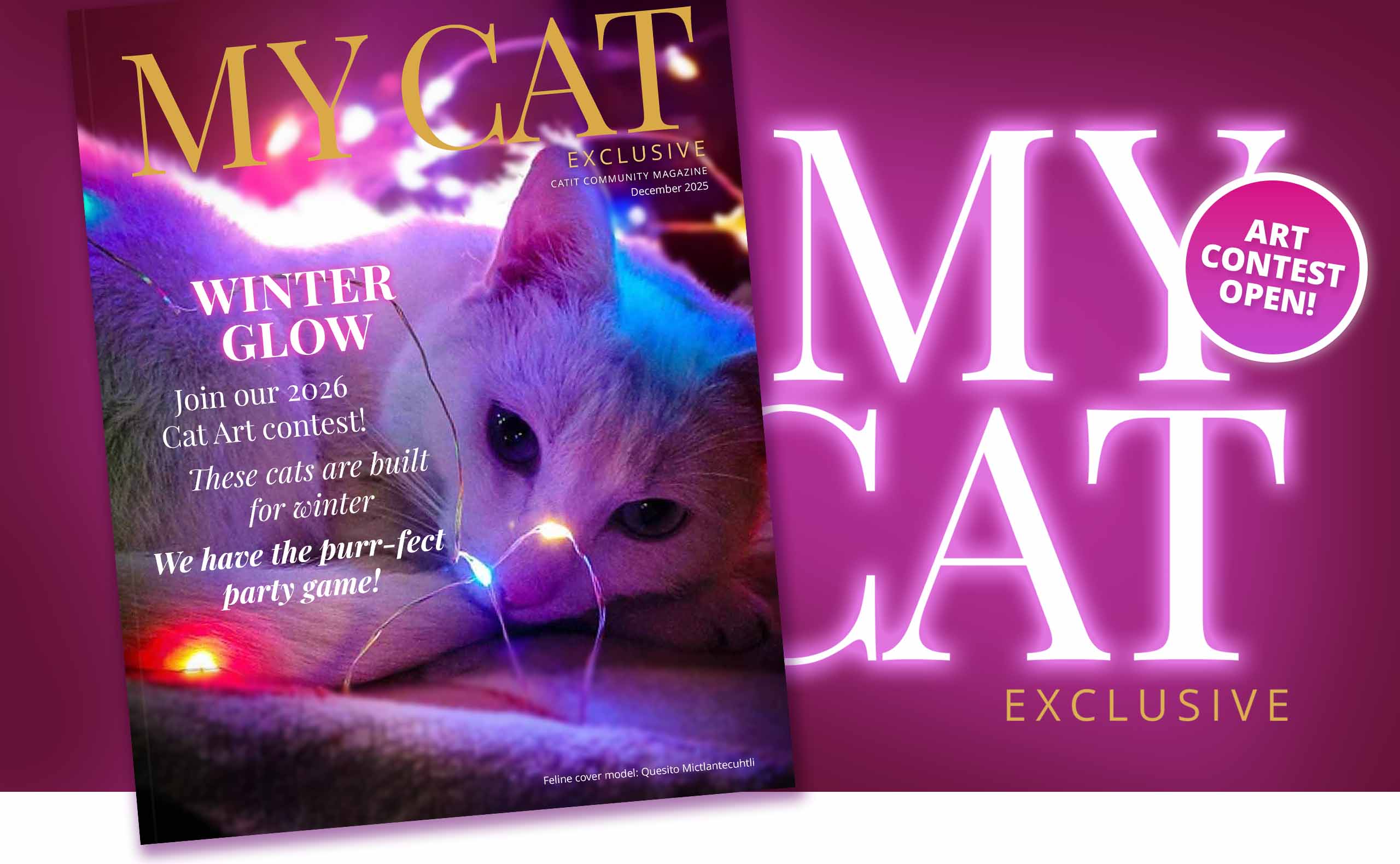 My Cat magazine cover featuring a cat with fairy lights and an announcement for the 2026 Cat Art contest