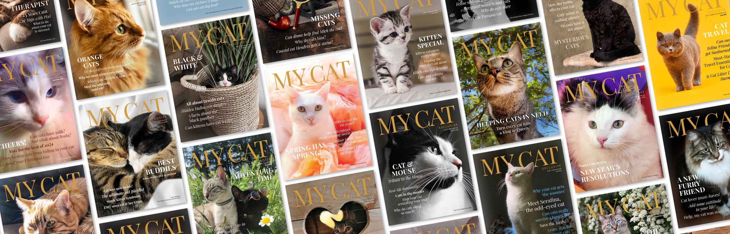A collage of multiple My Cat magazine covers featuring various cats and topics related to cat care and lifestyle