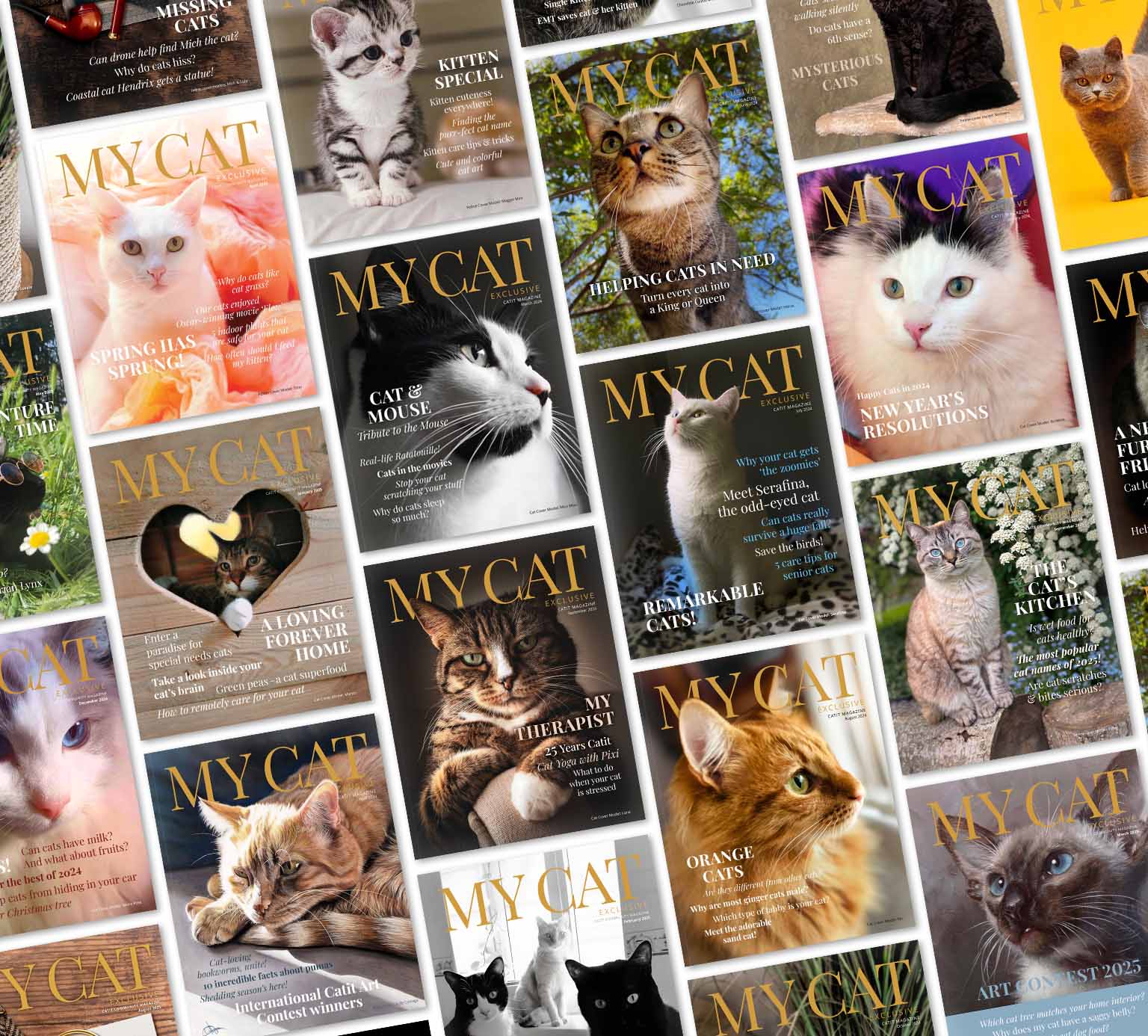 A collage of various My Cat magazine covers featuring different cat breeds and topics related to cat care and lifestyle
