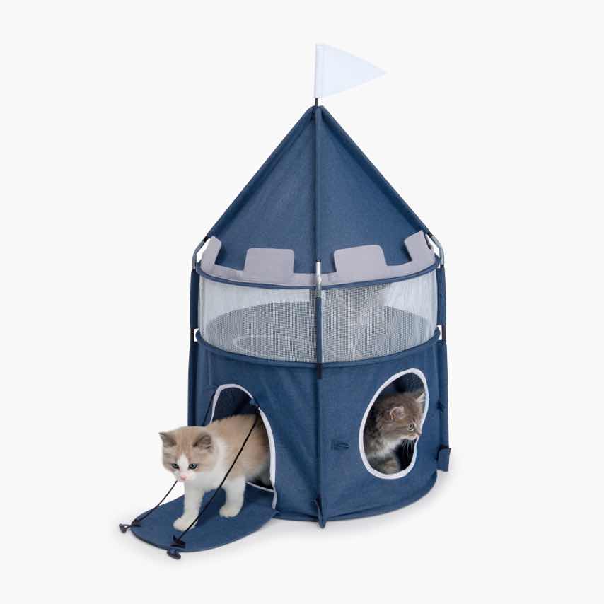 Two kittens playing inside and around a blue, castle-shaped cat tent with a white flag on top