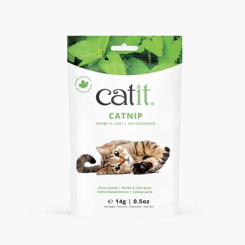 Catit brand catnip packaging containing 14g of pure catnip grown in Canada