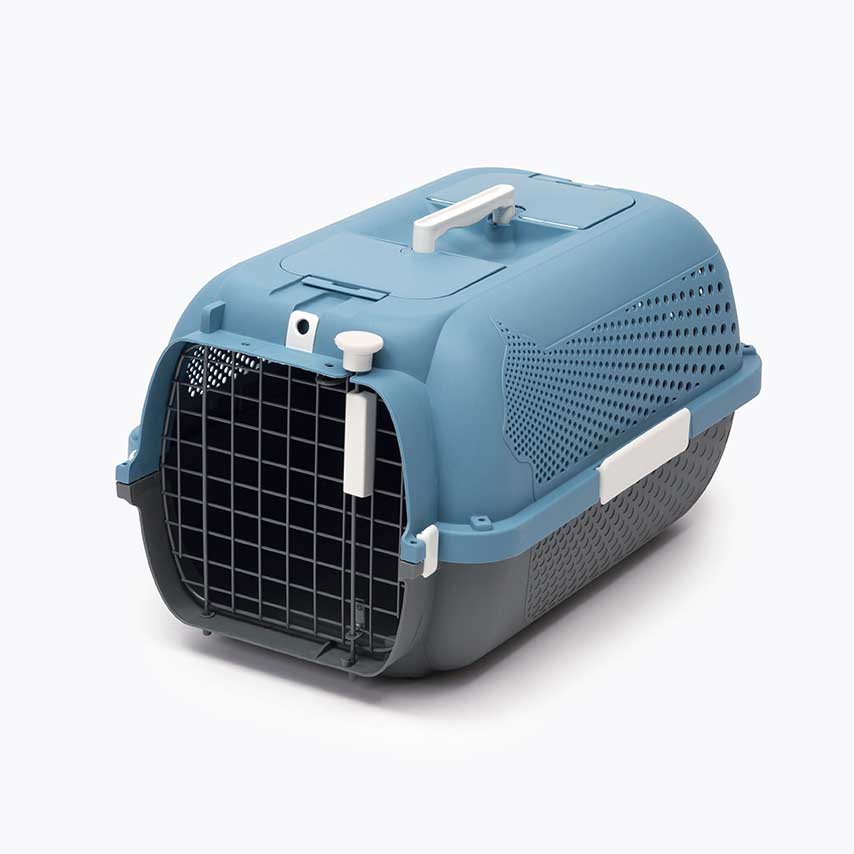 Blue and grey plastic pet carrier with a wire mesh front door and a top handle