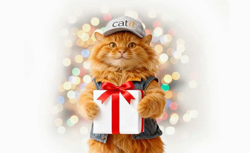 A fluffy ginger cat wearing a Catit cap and denim vest holds a white gift box with a red ribbon against a bokeh background