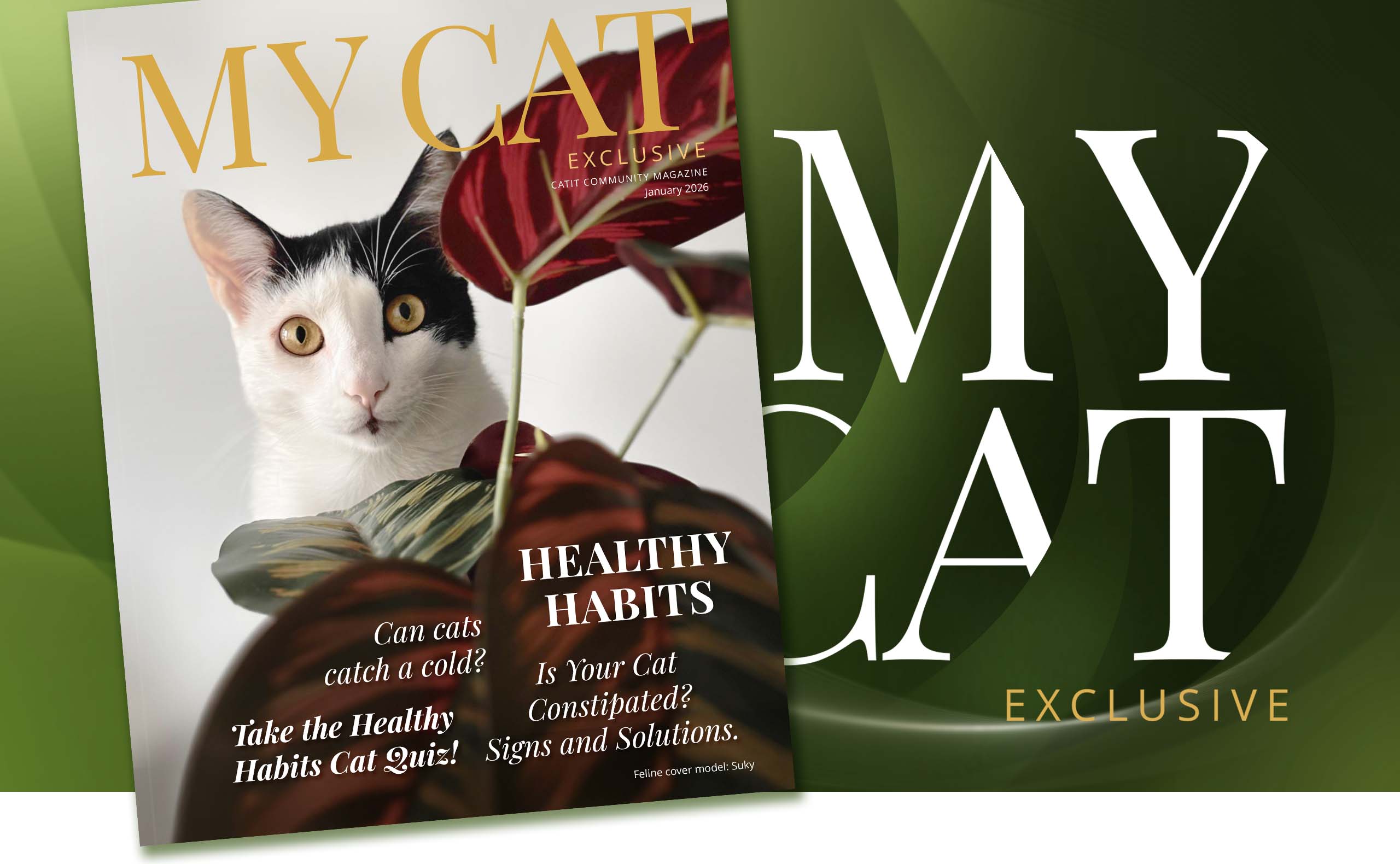 My Cat magazine cover featuring a black and white cat, with articles on cat colds, healthy habits, and constipation