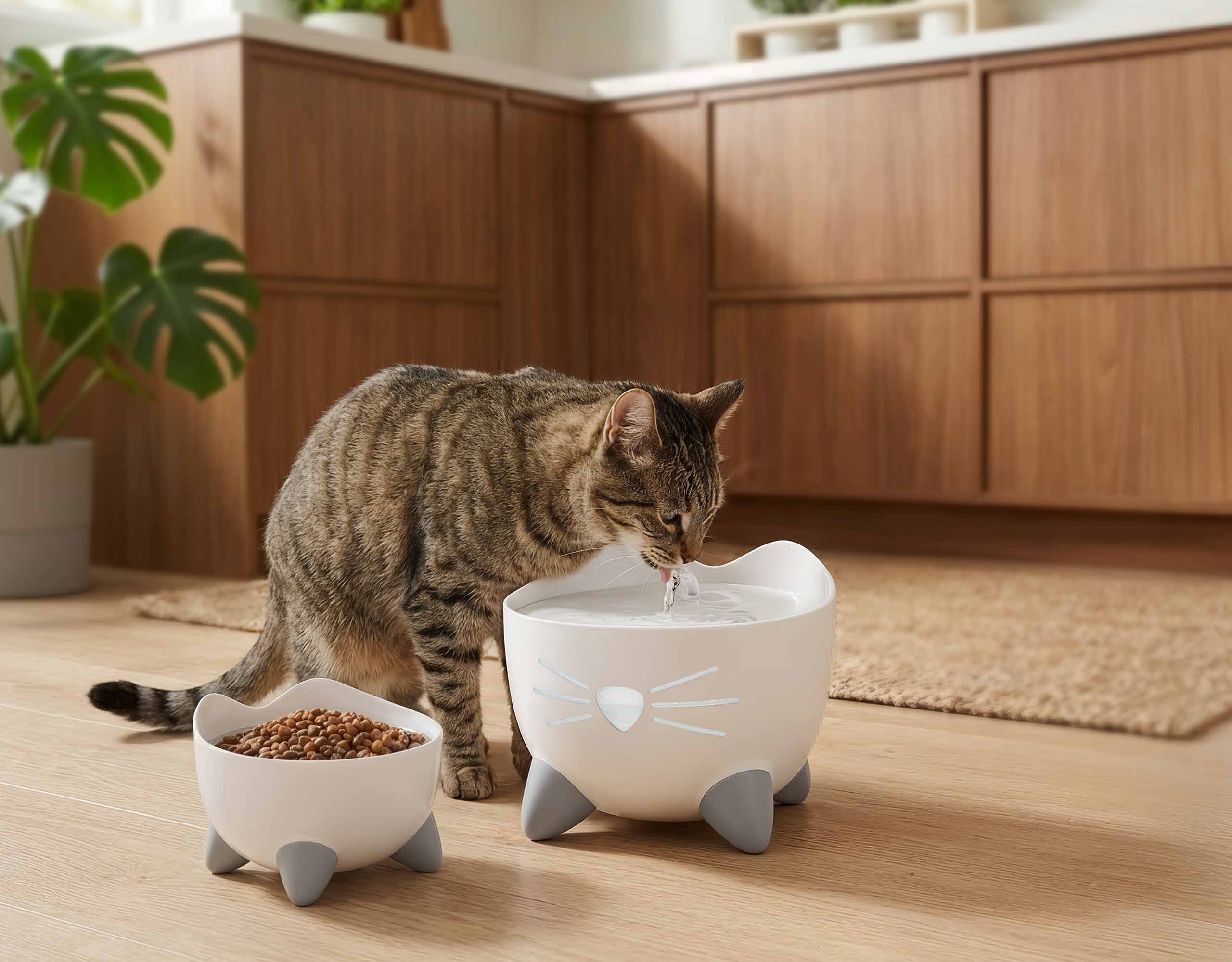 A tabby cat drinks from a white, cat-shaped PIXI water fountain next to a matching food bowl on a wooden floor