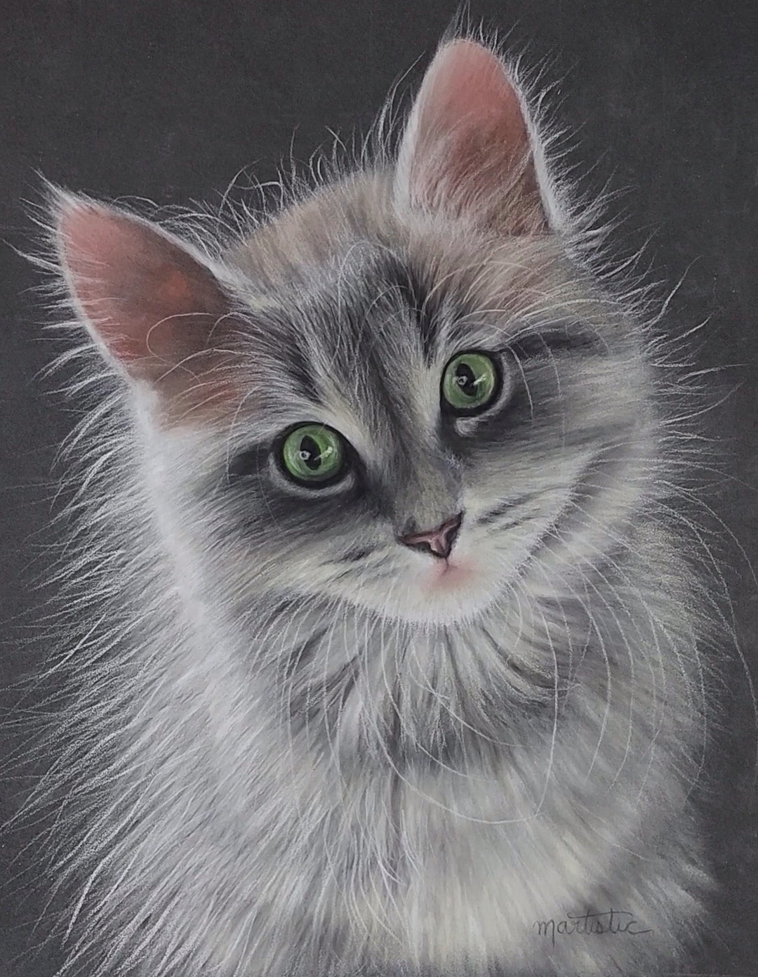Cat art entry