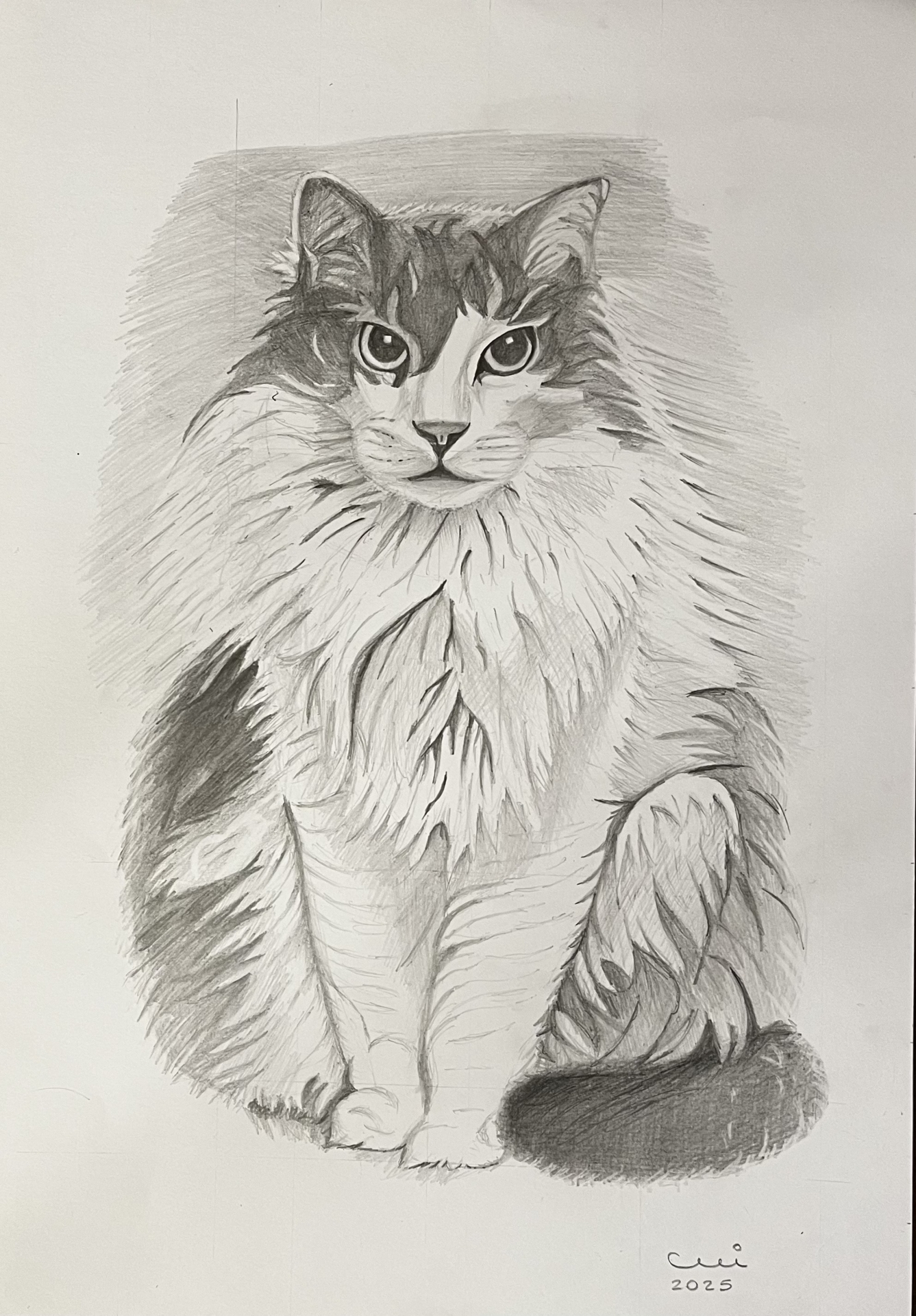 Cat art entry