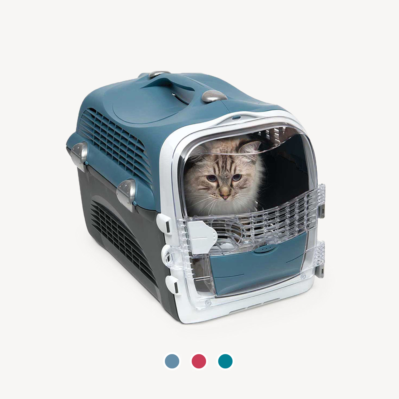 A cat sitting inside a blue and white plastic pet carrier with a clear front door