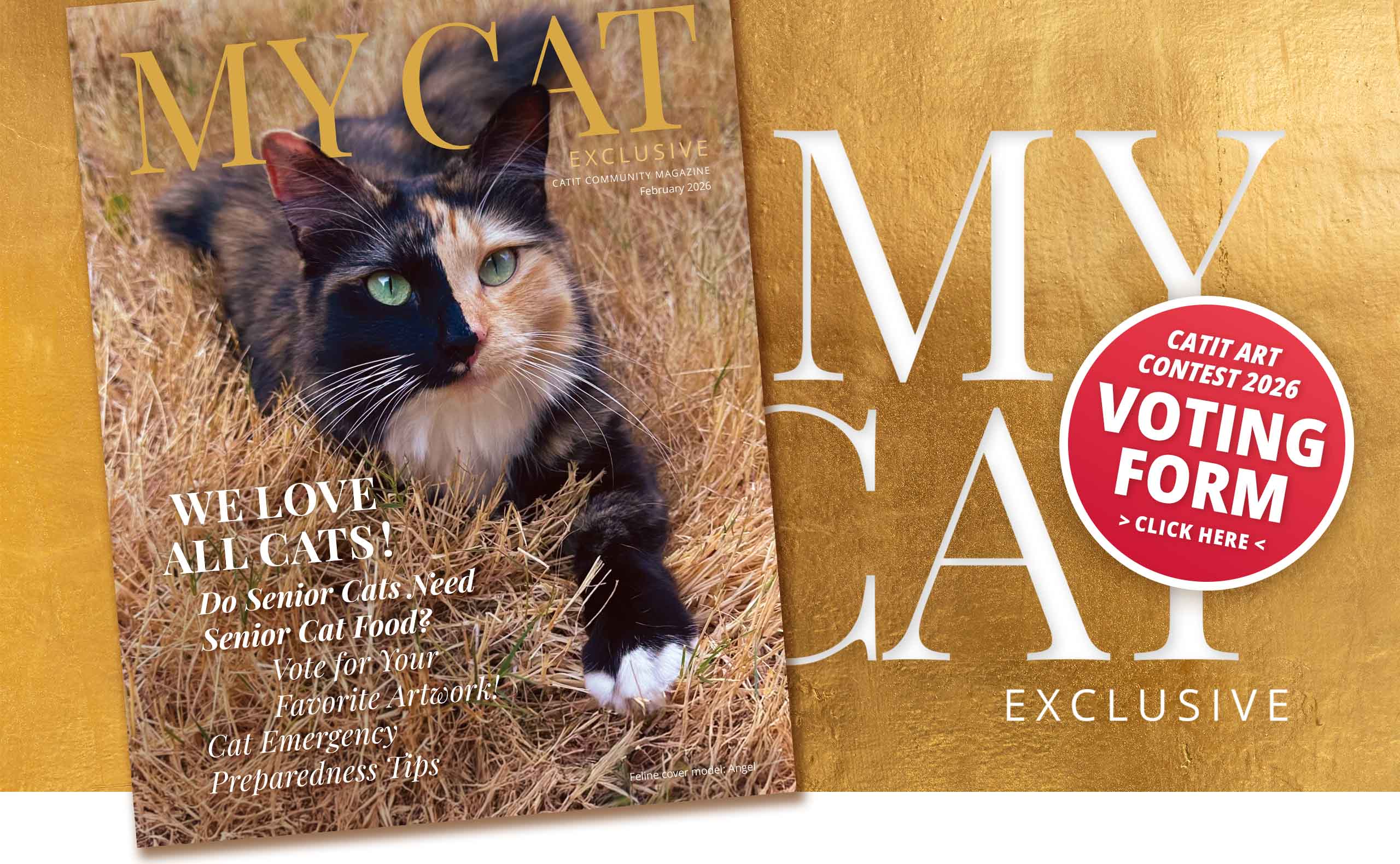 Catit Community Magazine February 2026 issue featuring a calico cat on the cover and a link to the Catit Art Contest voting form