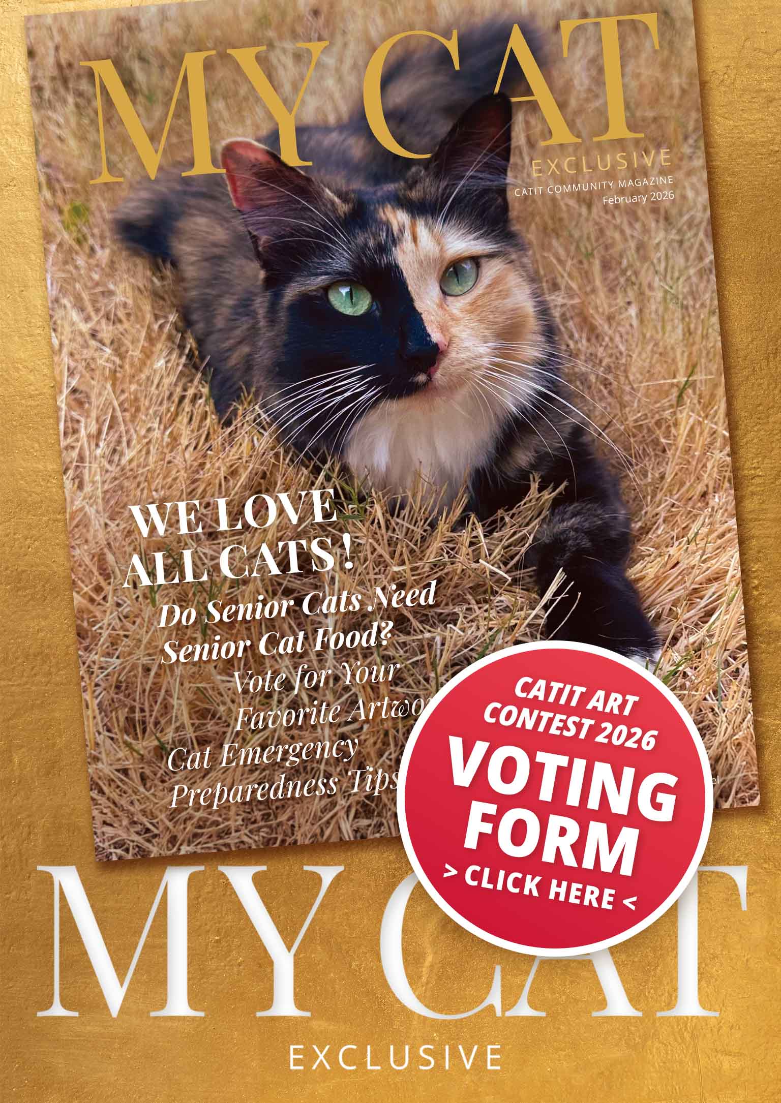 Catit community magazine cover for February 2026 featuring a calico cat and a call to action for the 2026 art contest voting