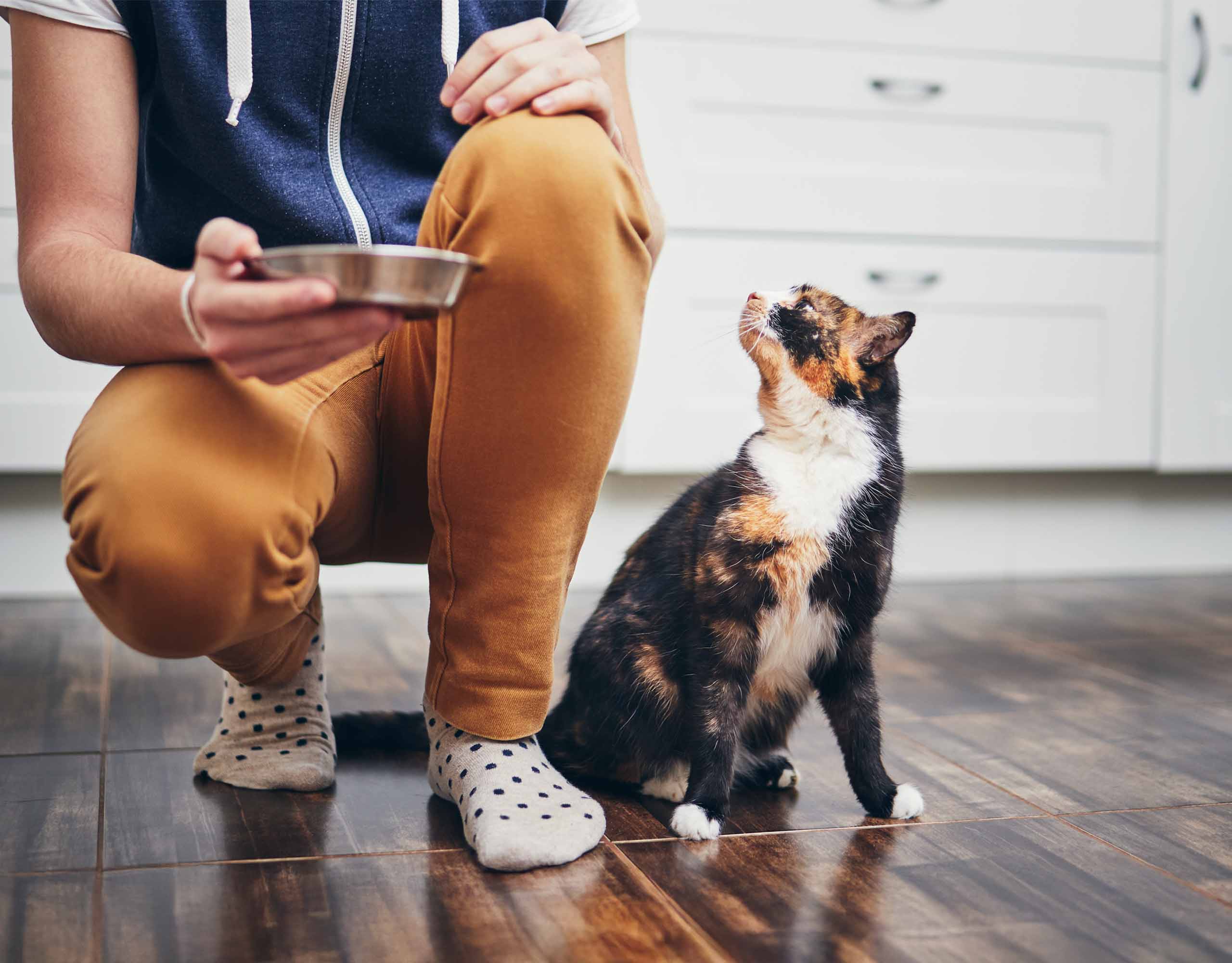 A person in polka-dot socks crouches on a tiled floor, holding a bowl while a calico cat looks up at them expectantly