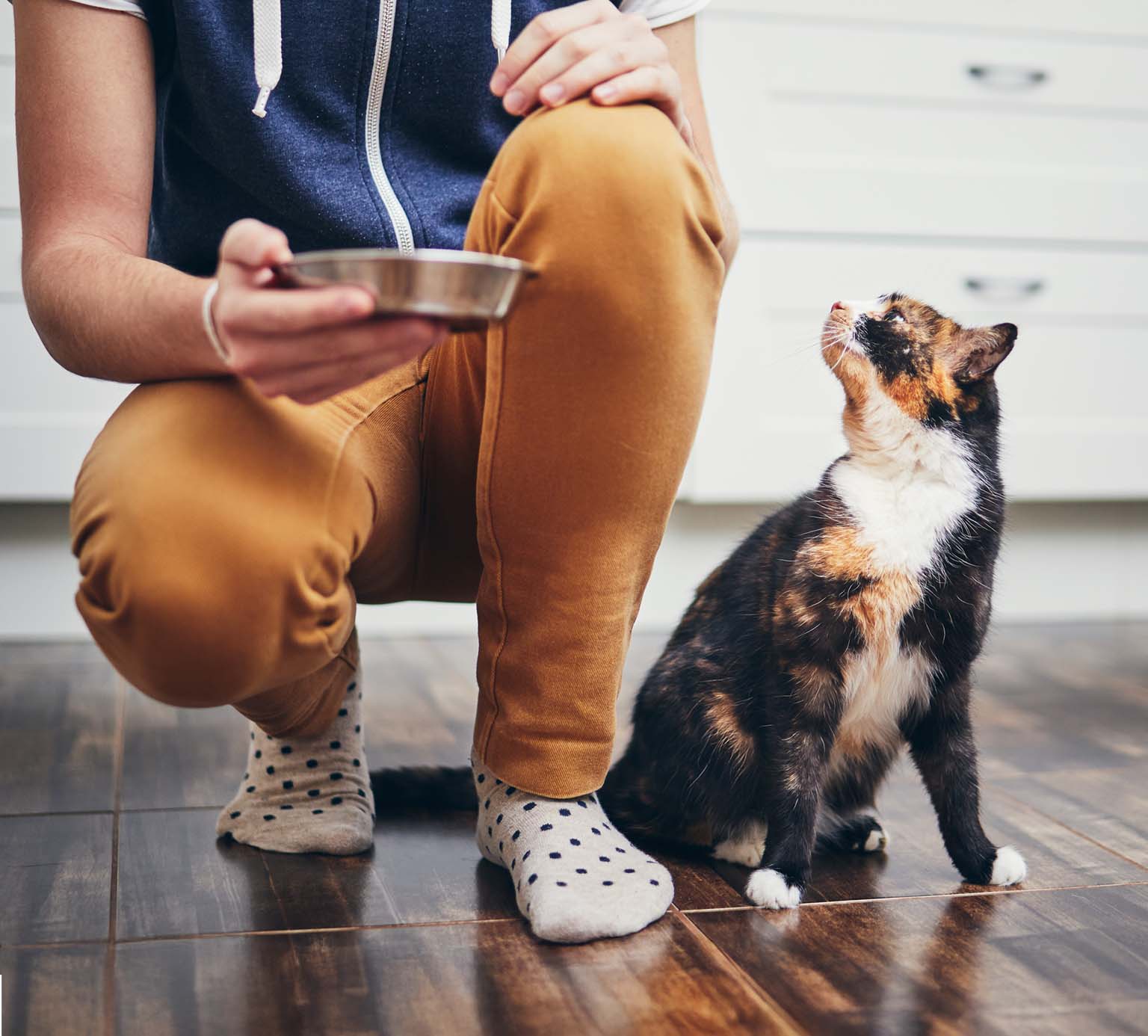 A person in polka-dot socks crouches on a tiled floor, holding a metal bowl while a calico cat looks up expectantly