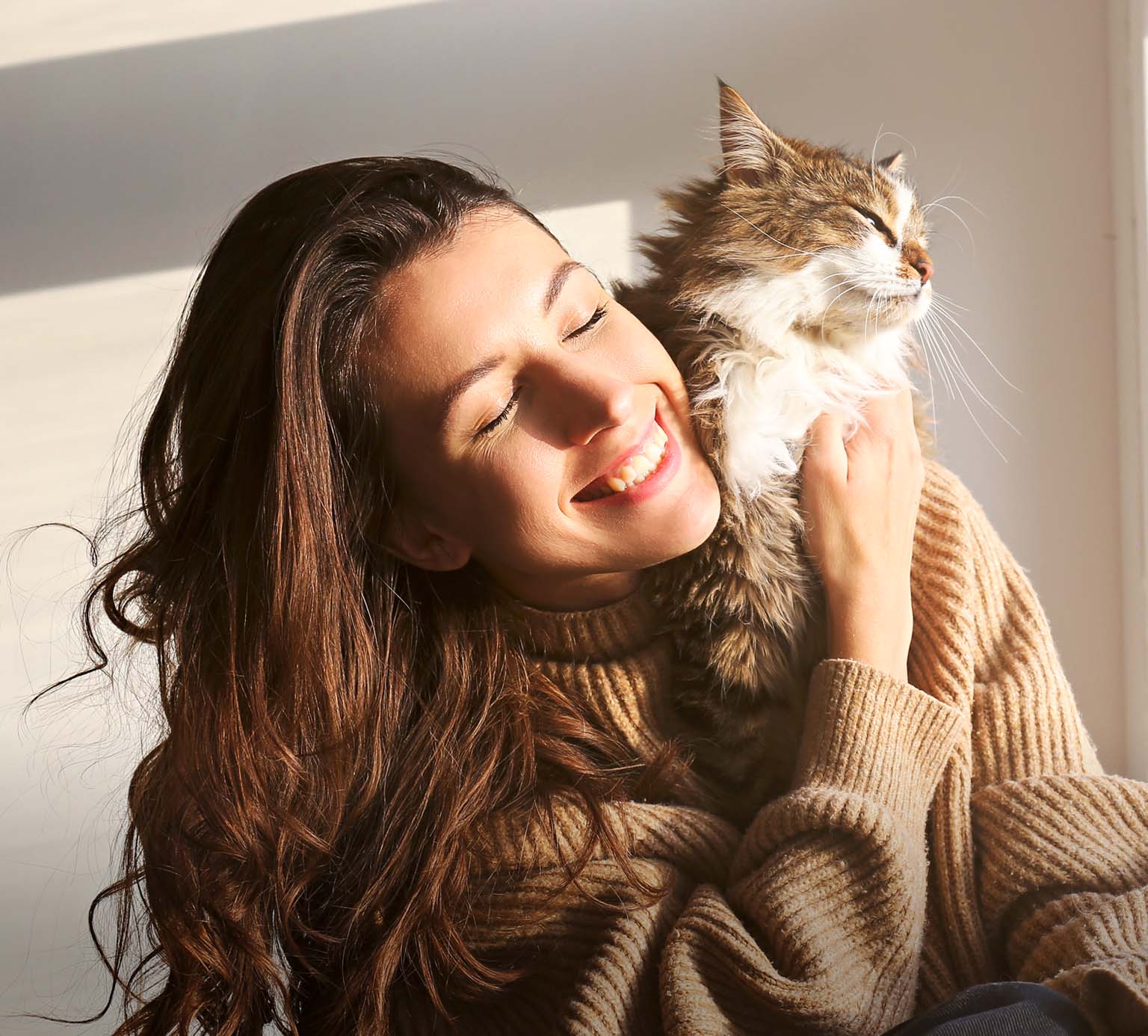 A smiling woman in a beige sweater hugging a fluffy tabby cat in the sunlight