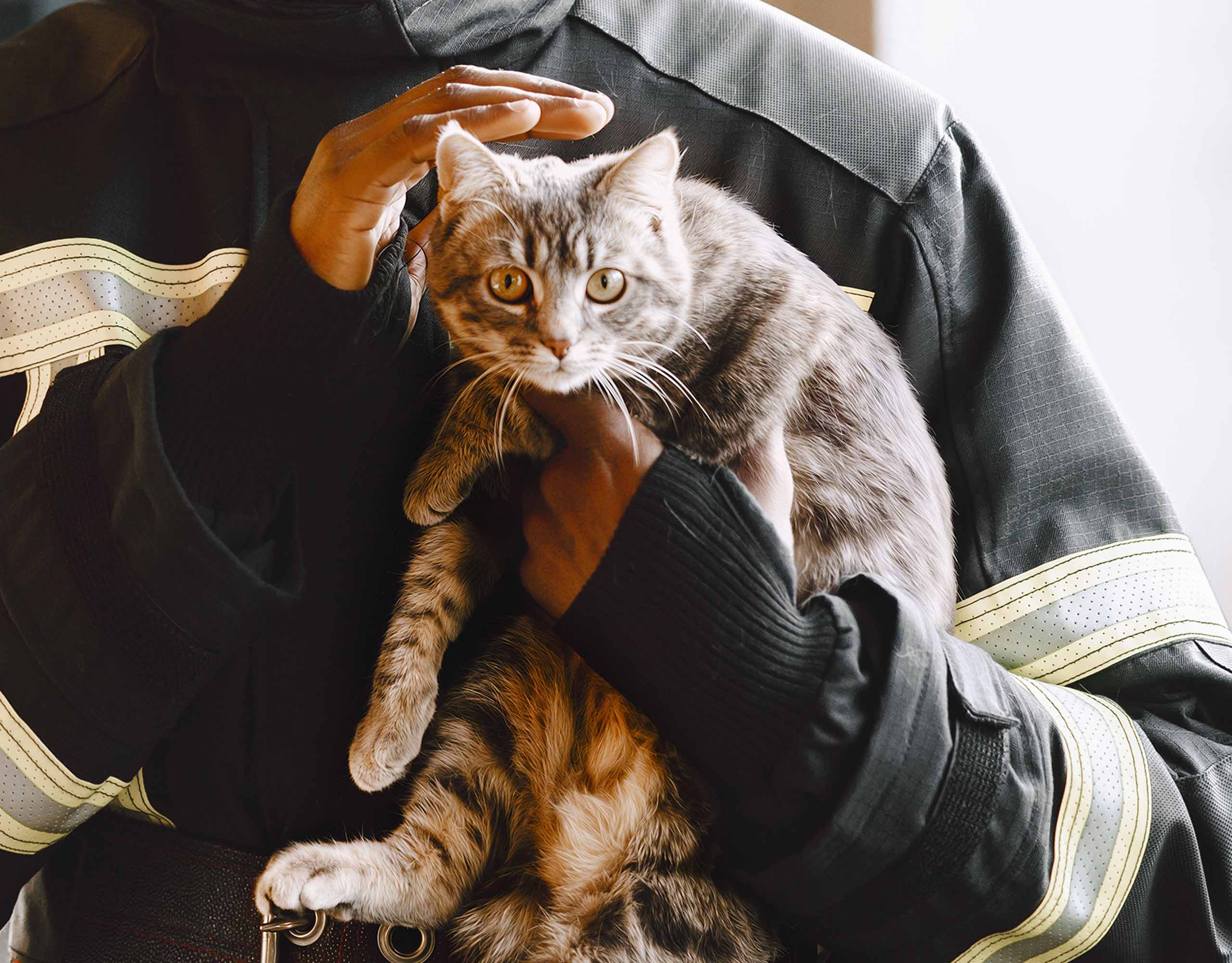 A firefighter in uniform gently holding and petting a gray tabby cat