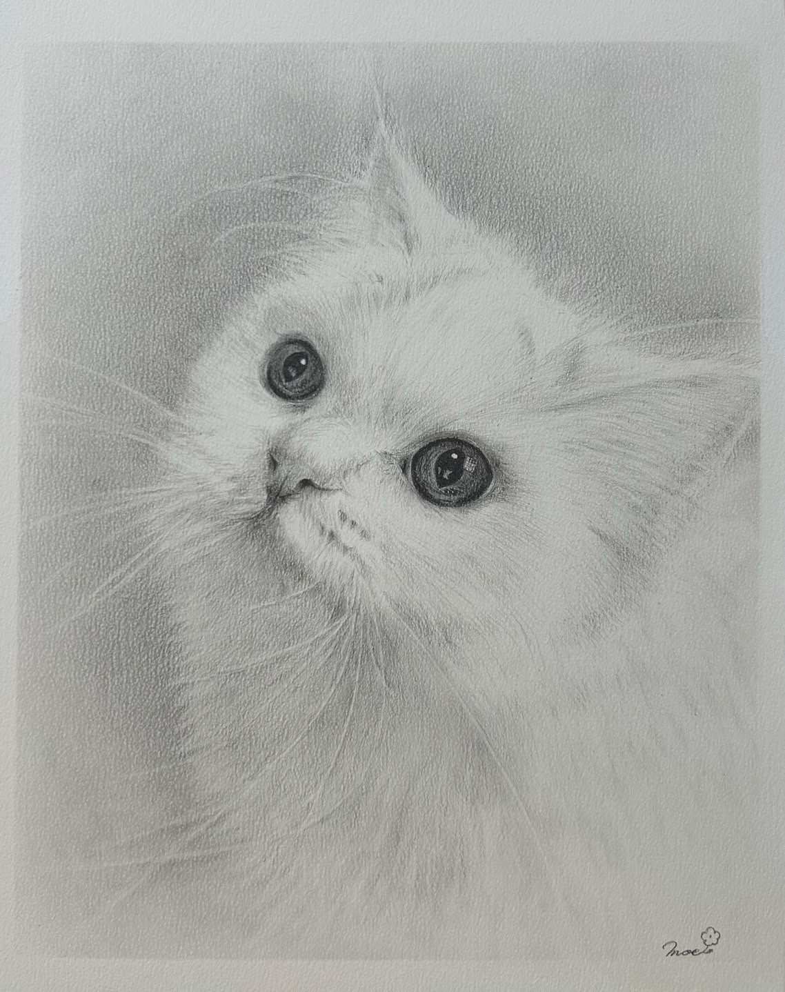 Cat art entry