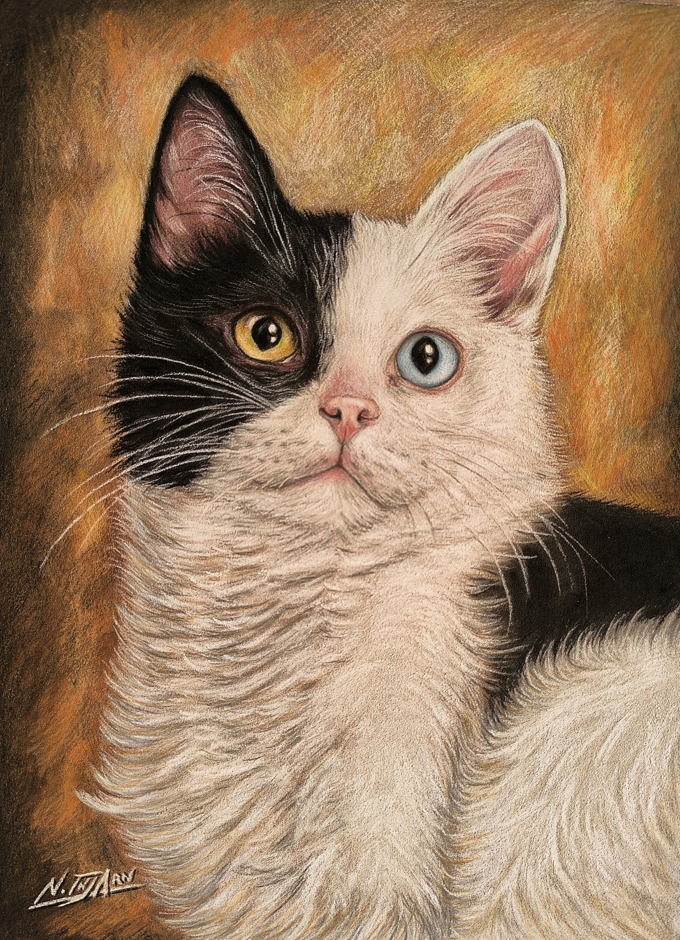 Cat art entry