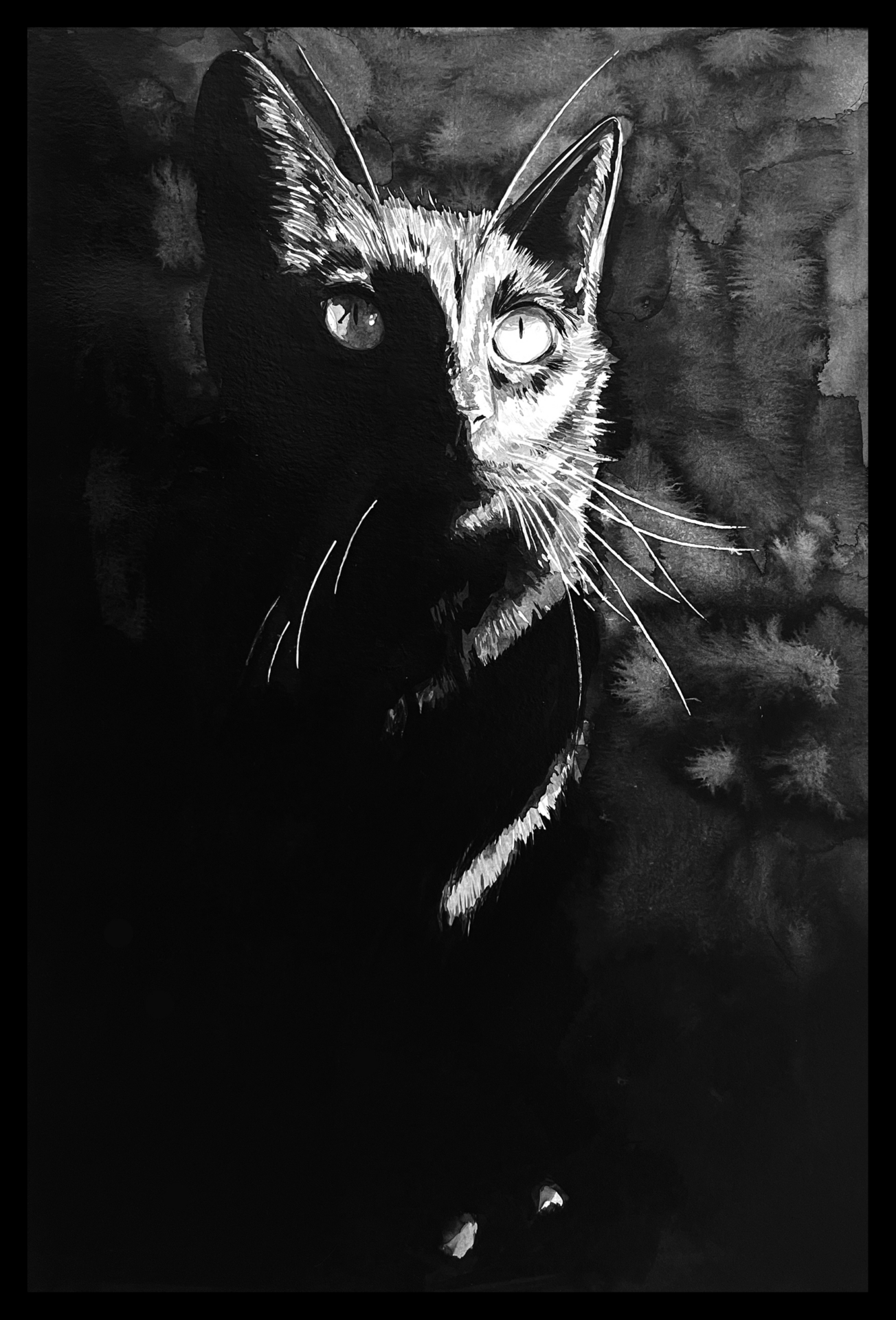 Cat art entry