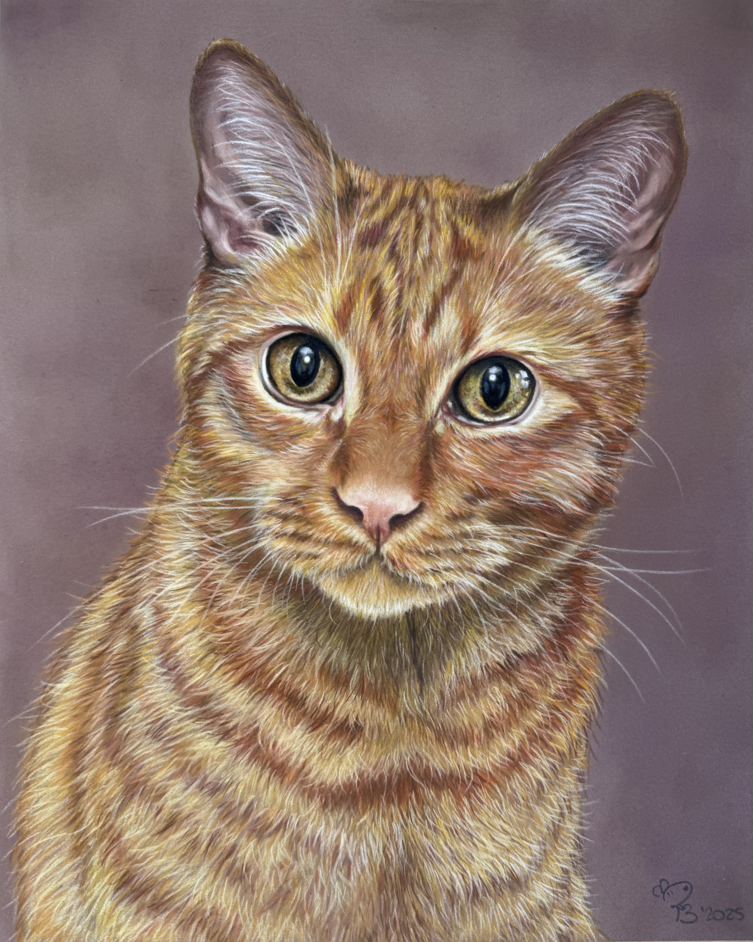 Cat art entry