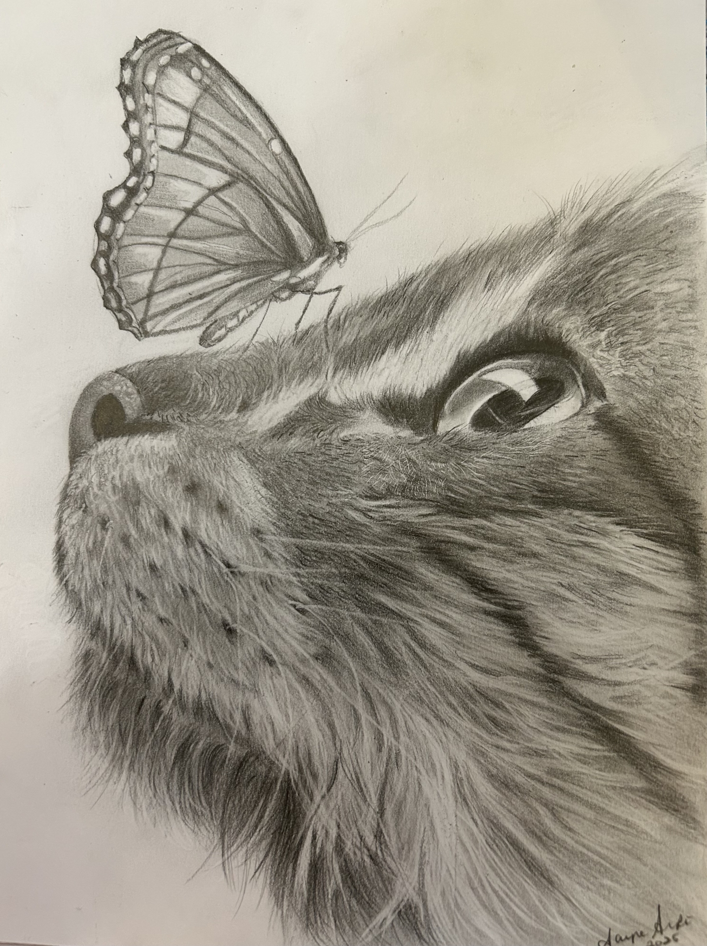 Cat art entry